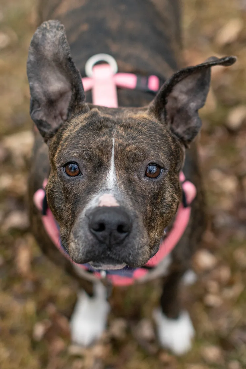 Rescue Photography 2022, photo 56 of 118