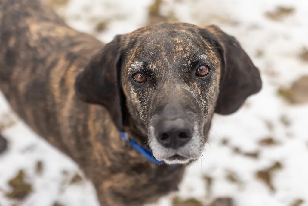 Rescue Photography 2022, photo 57 of 118