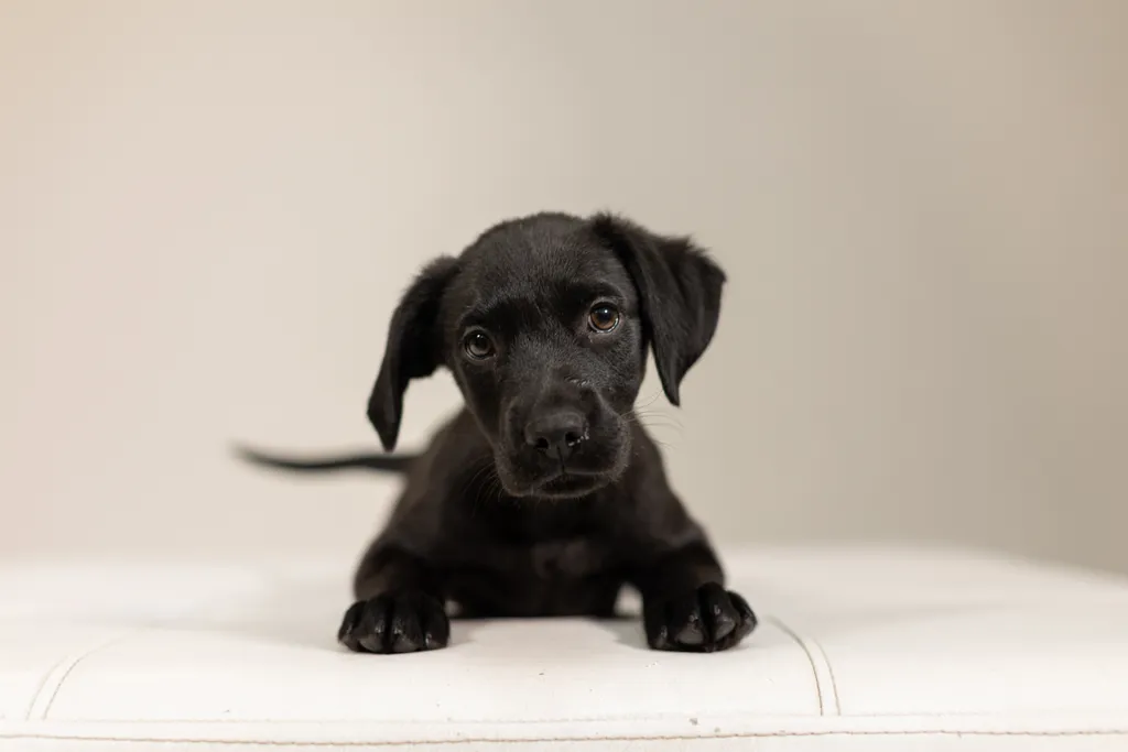 Rescue Photography 2022, photo 5 of 118