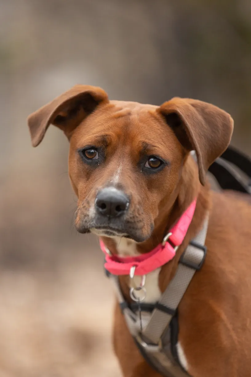 Rescue Photography 2022, photo 59 of 118