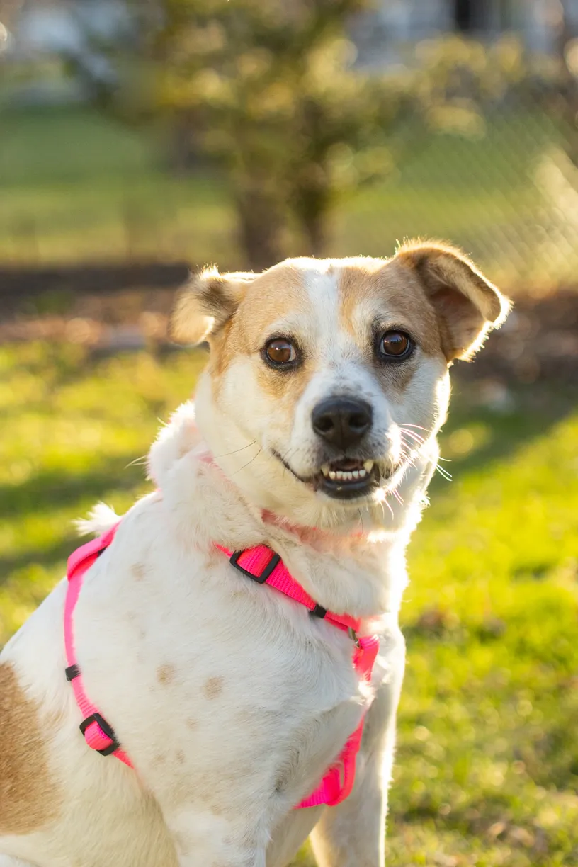 Rescue Photography 2022, photo 75 of 118