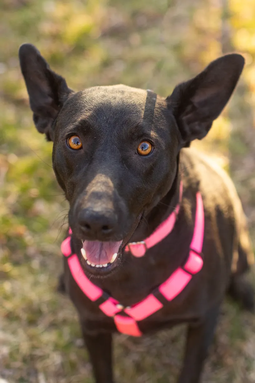 Rescue Photography 2022, photo 76 of 118
