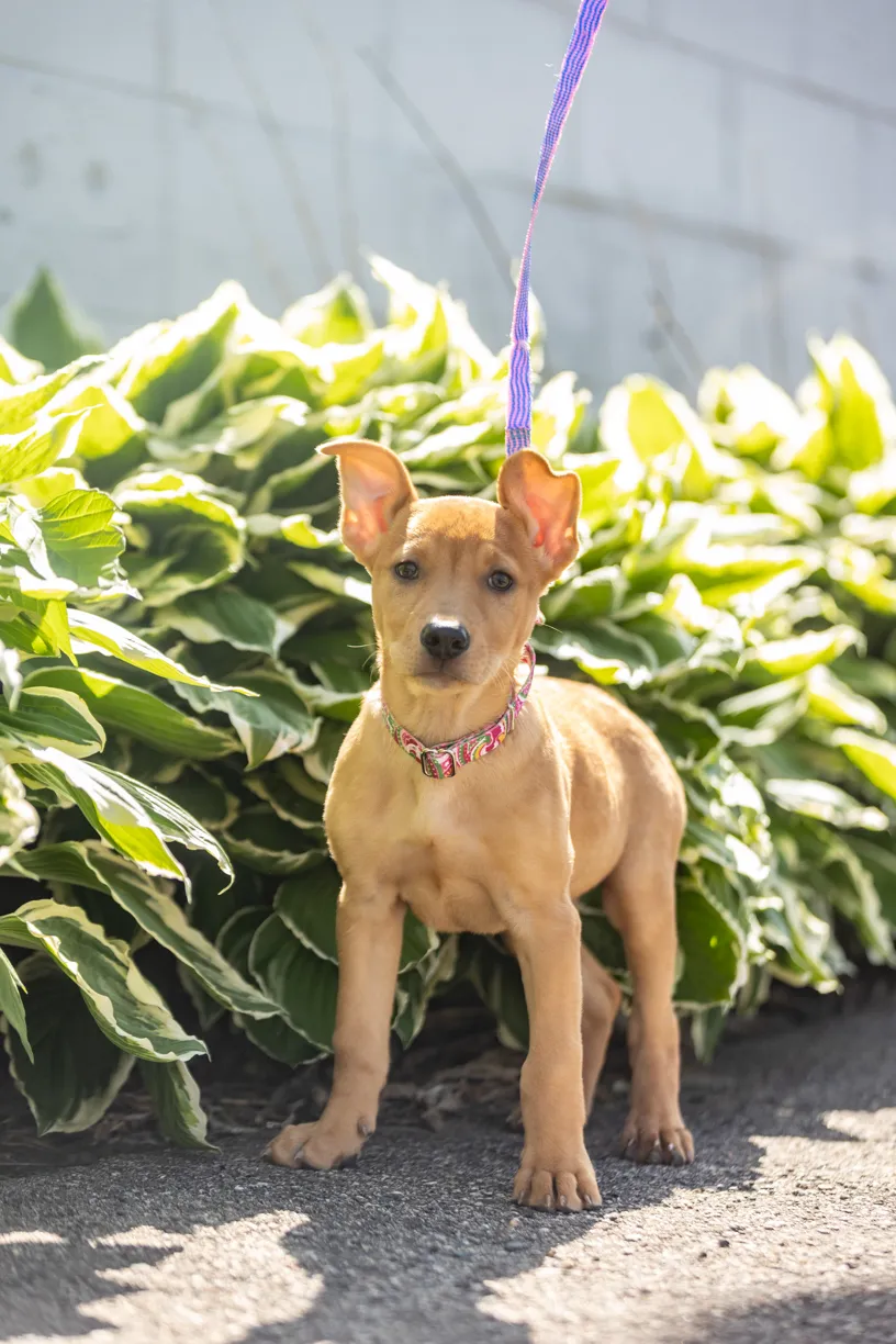Rescue Photography 2022, photo 78 of 118