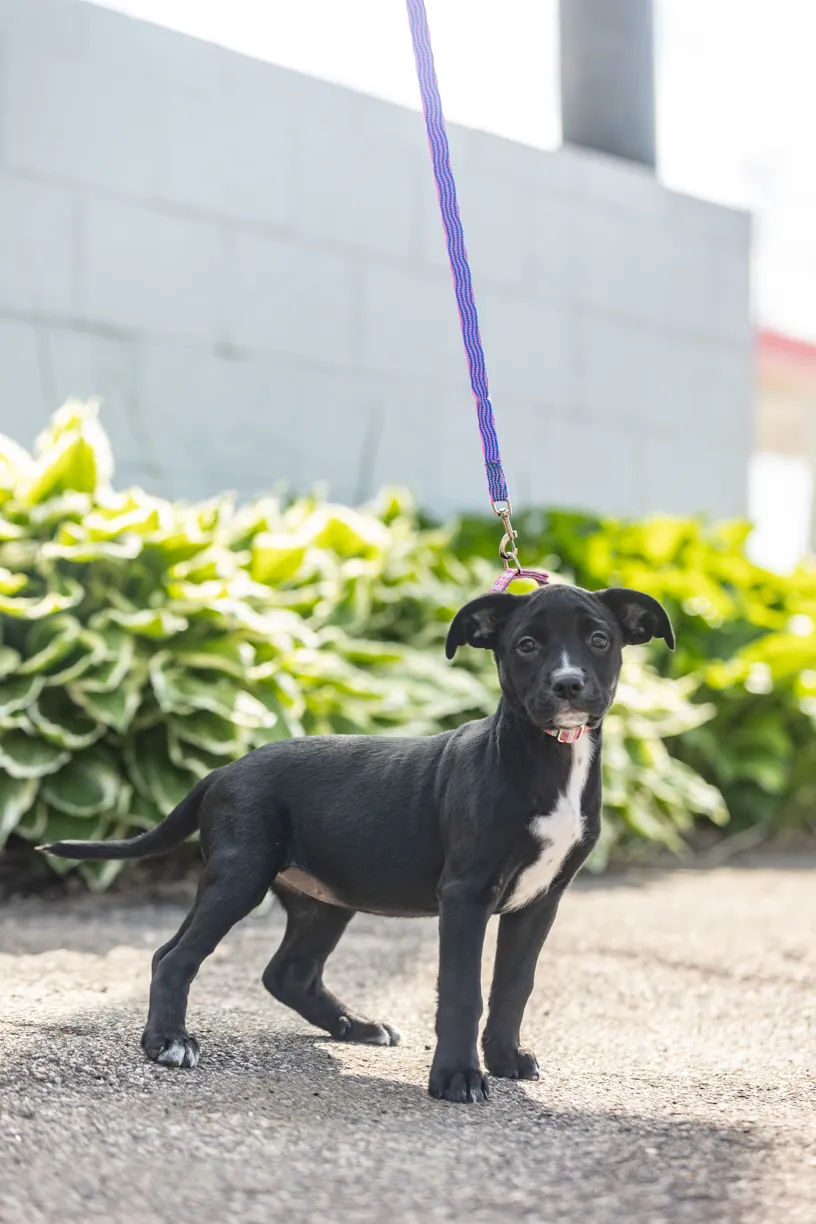 Rescue Photography 2022, photo 80 of 118
