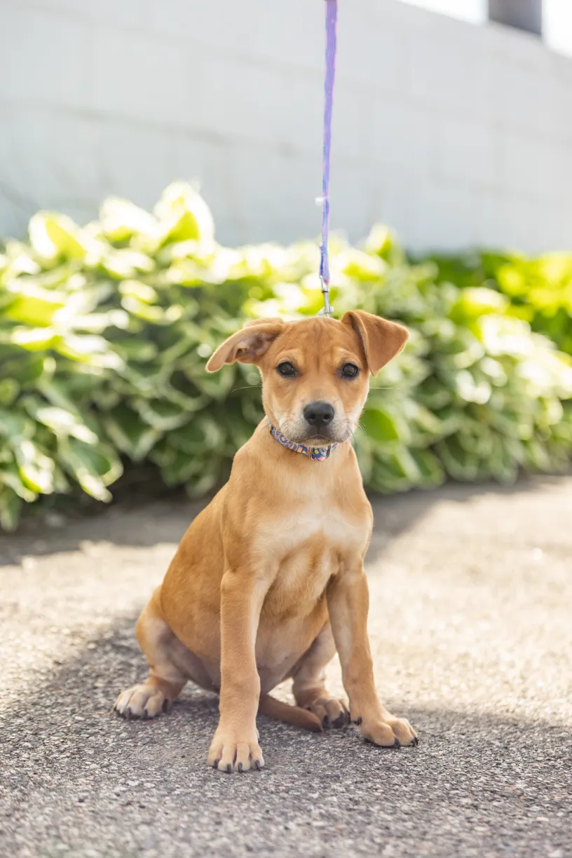 Rescue Photography 2022, photo 81 of 118