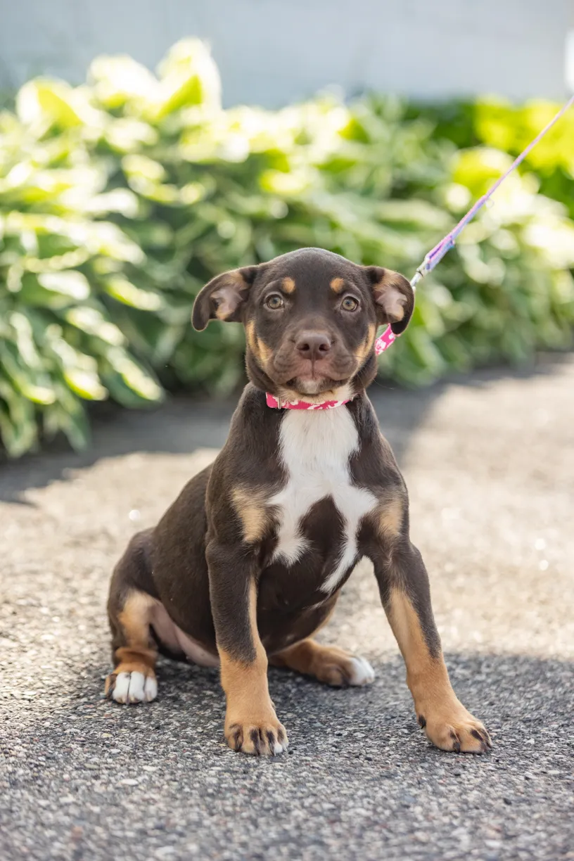 Rescue Photography 2022, photo 82 of 118