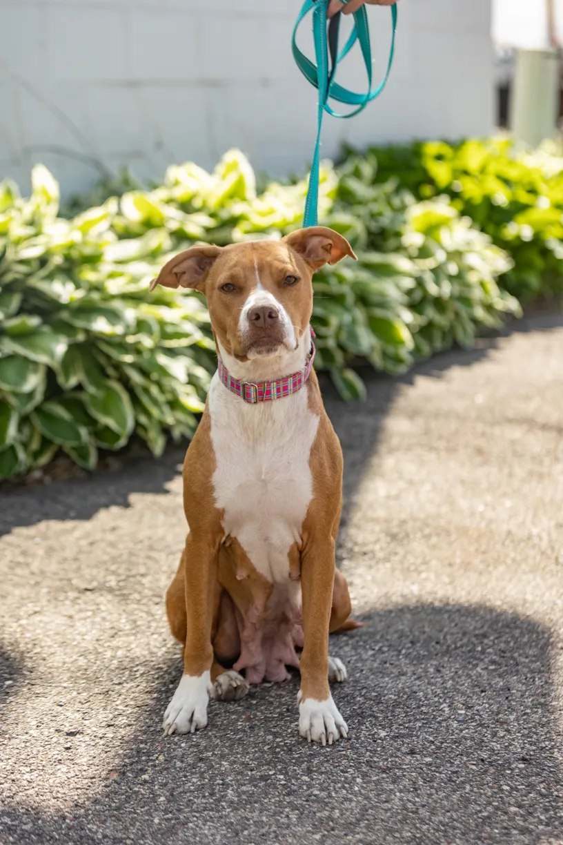 Rescue Photography 2022, photo 83 of 118