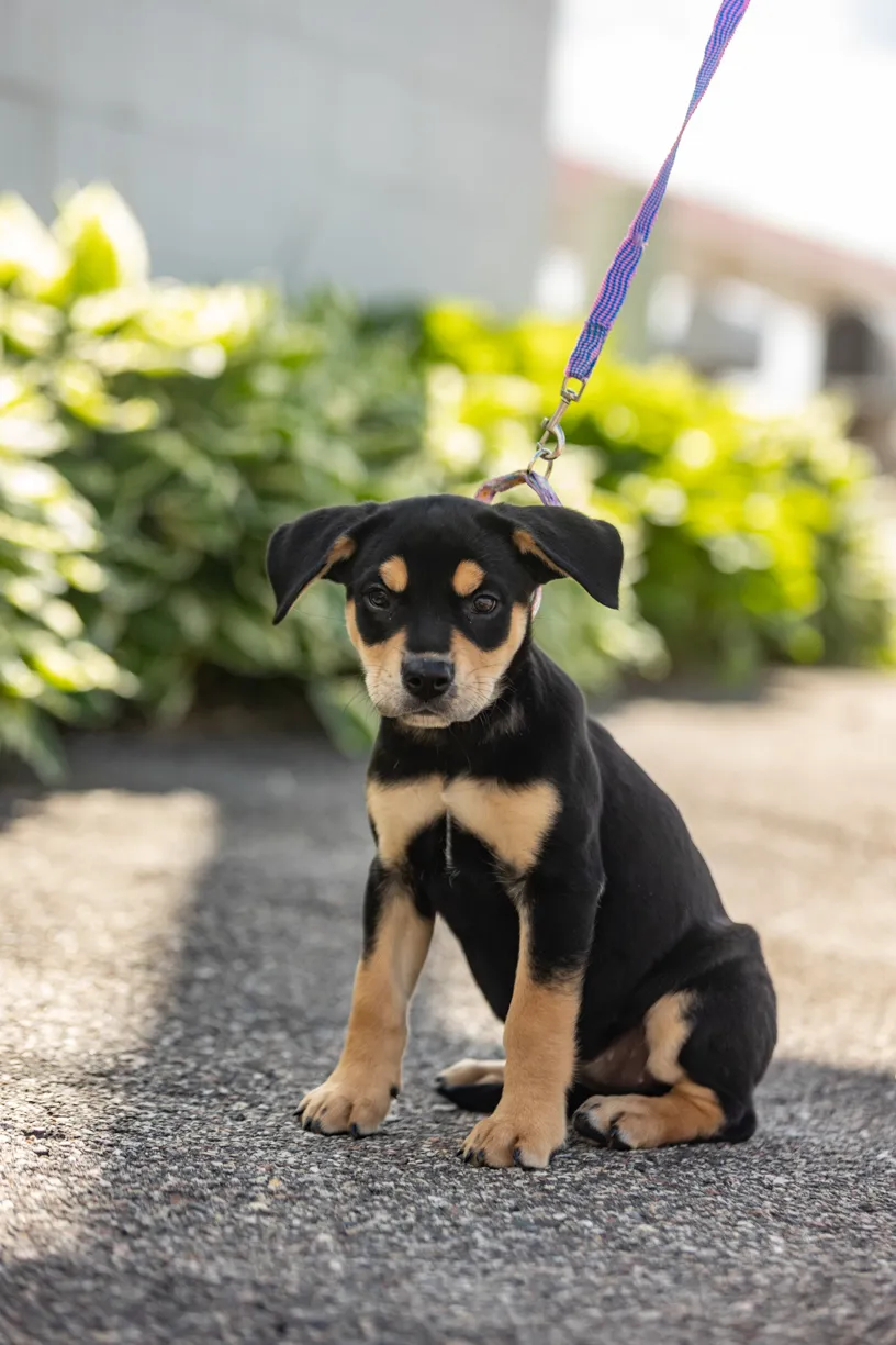 Rescue Photography 2022, photo 84 of 118