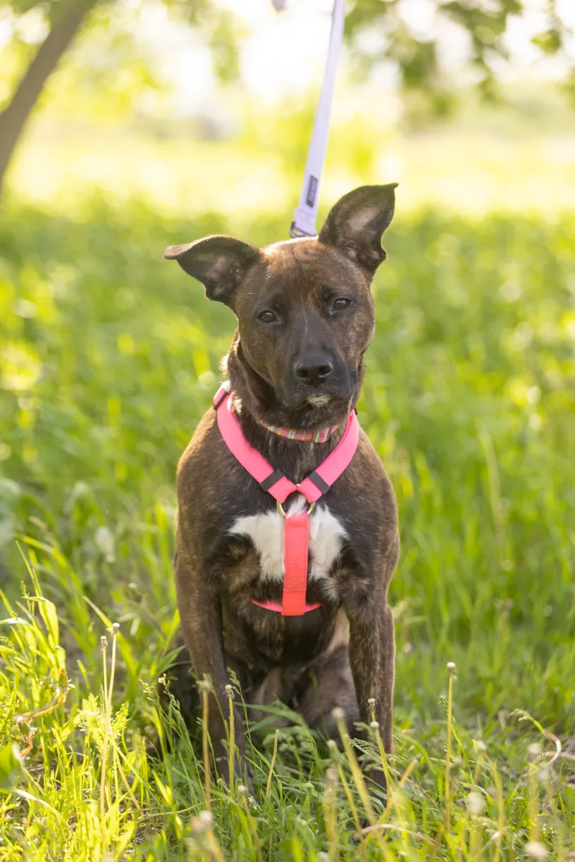 Rescue Photography 2022, photo 85 of 118