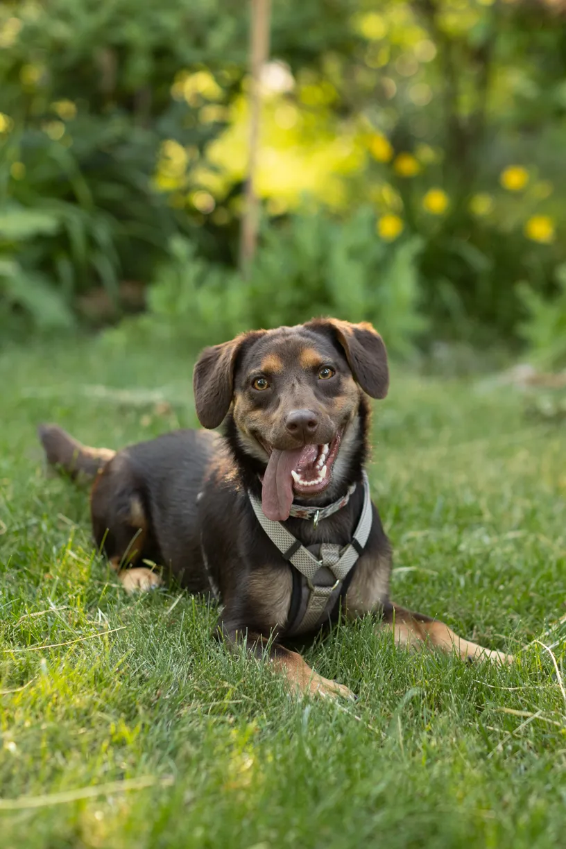 Rescue Photography 2022, photo 91 of 118