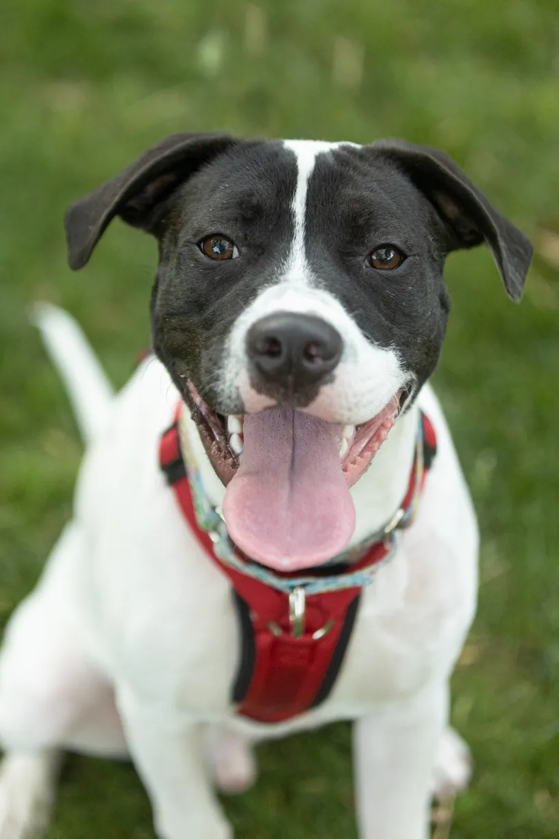 Rescue Photography 2022, photo 92 of 118