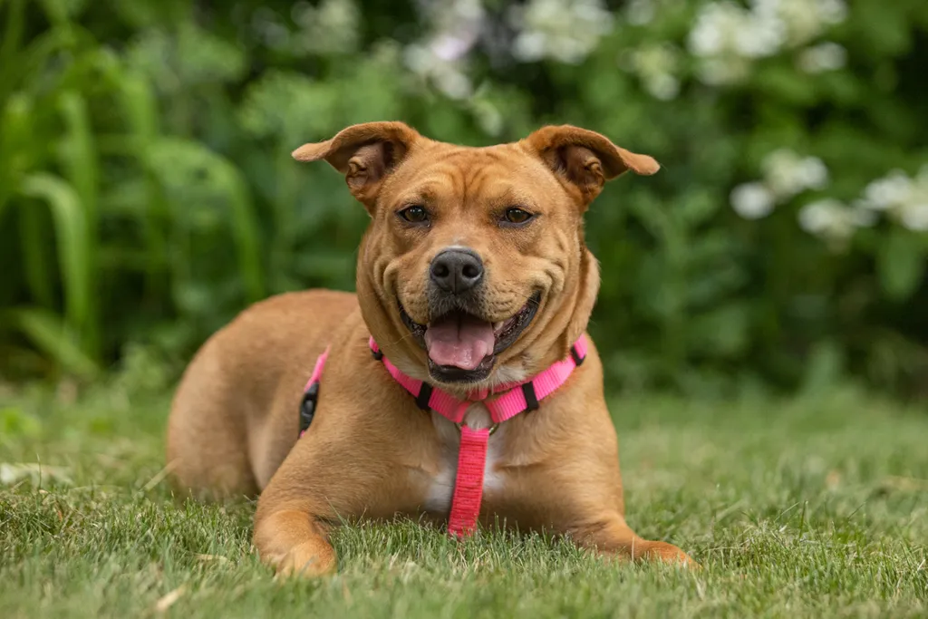 Rescue Photography 2022, photo 90 of 118