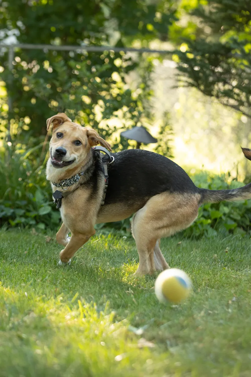 Rescue Photography 2022, photo 86 of 118