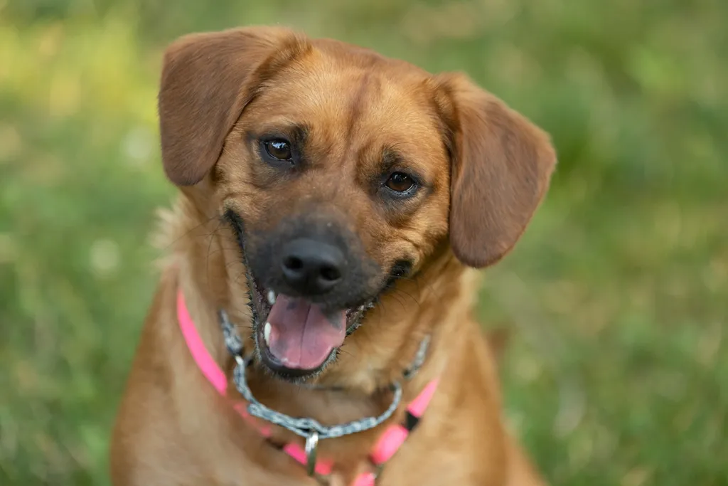 Rescue Photography 2022, photo 95 of 118