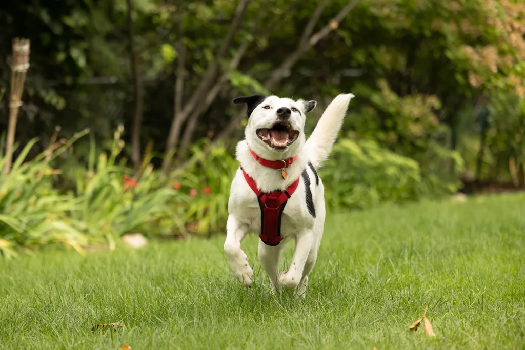 Rescue Photography 2022, photo 97 of 118