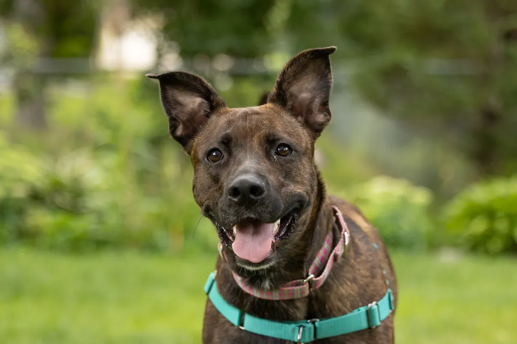 Rescue Photography 2022, photo 93 of 118