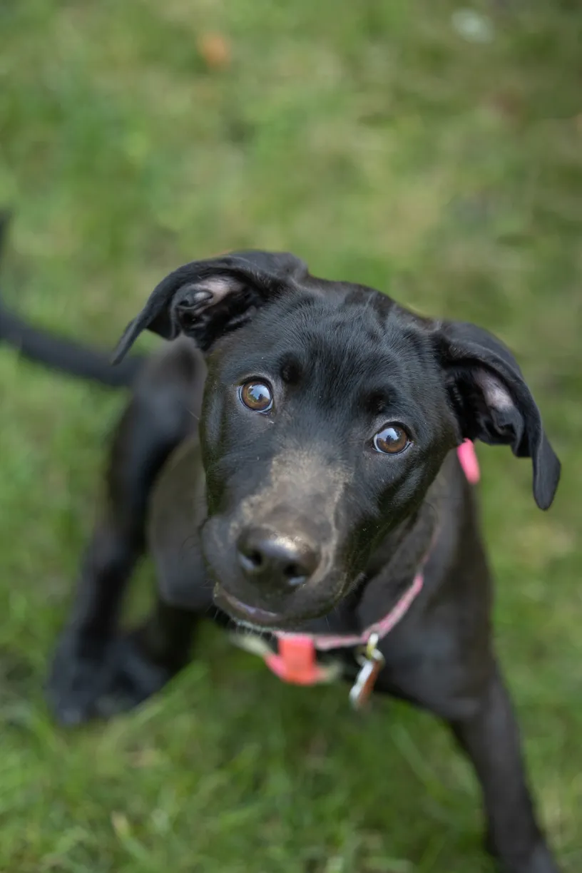 Rescue Photography 2022, photo 94 of 118
