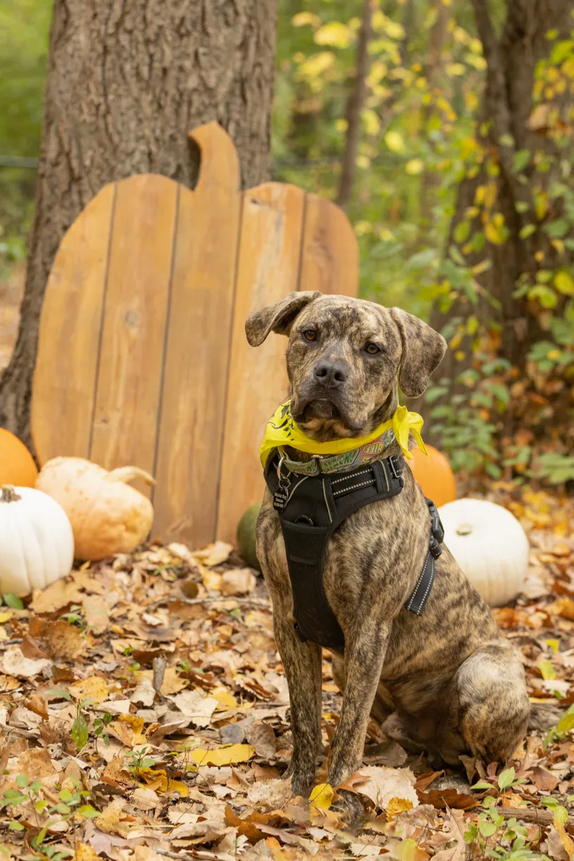 Rescue Photography 2022, photo 116 of 118