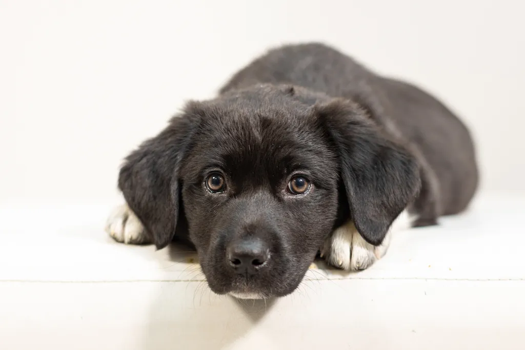 Rescue Photography 2022, photo 9 of 118
