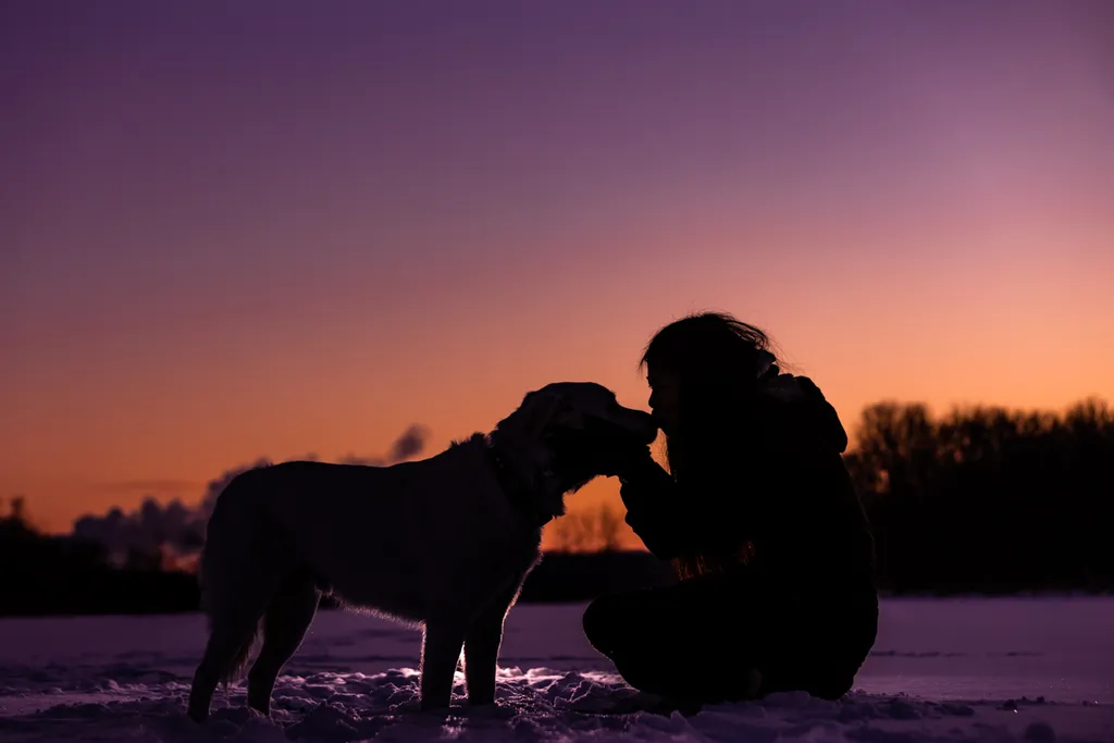 Sunrise Snowstorm session, photo 10 of 58