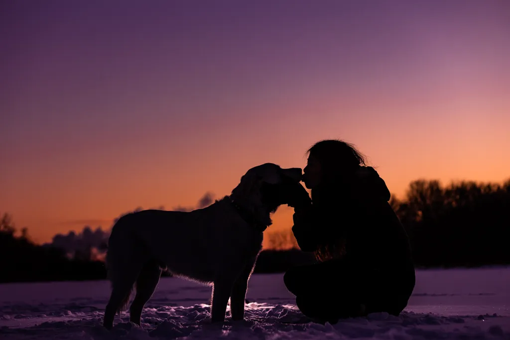 Sunrise Snowstorm session, photo 12 of 58