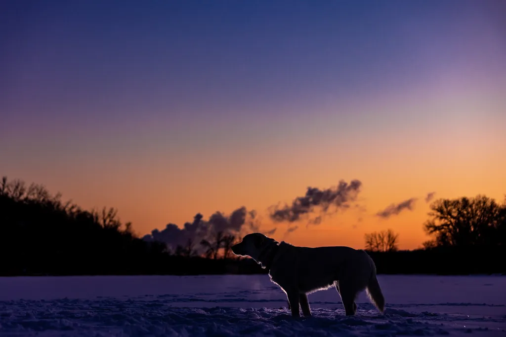 Sunrise Snowstorm session, photo 11 of 58