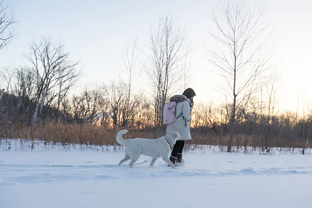Sunrise Snowstorm session, photo 1 of 58
