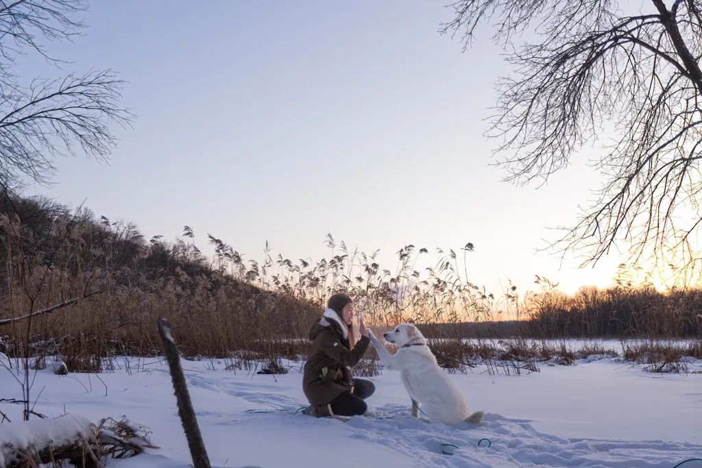 Sunrise Snowstorm session, photo 2 of 58