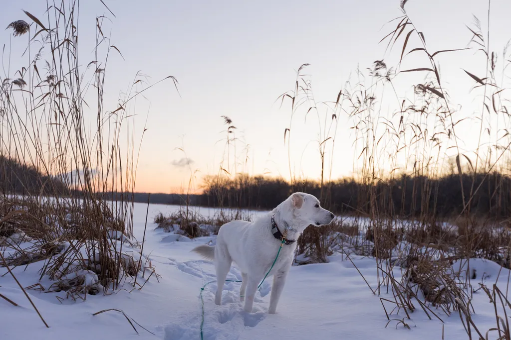 Sunrise Snowstorm session, photo 3 of 58