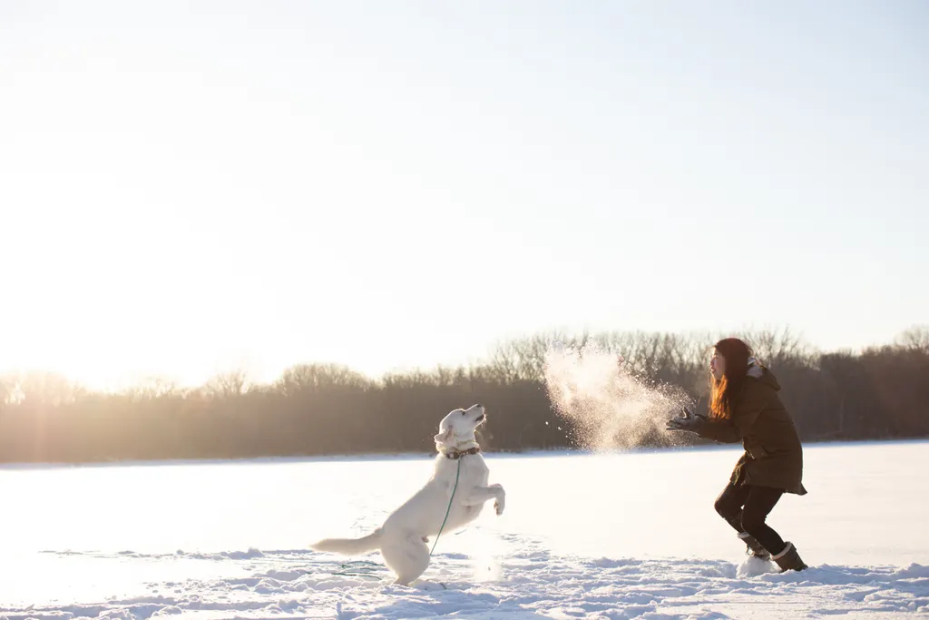 Sunrise Snowstorm session, photo 41 of 58