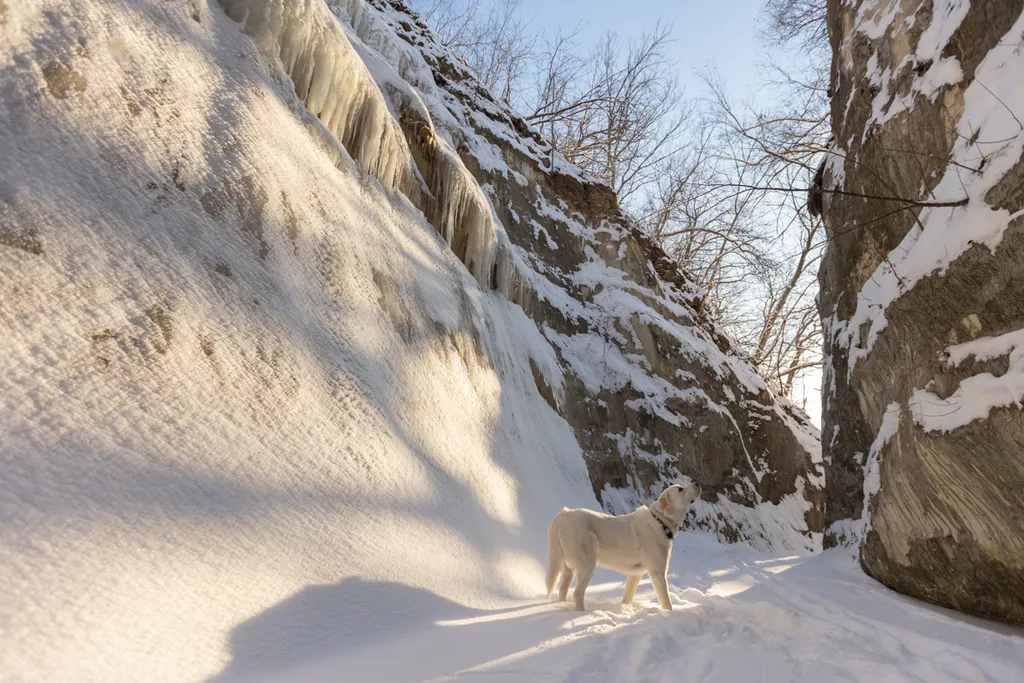 Sunrise Snowstorm session, photo 58 of 58