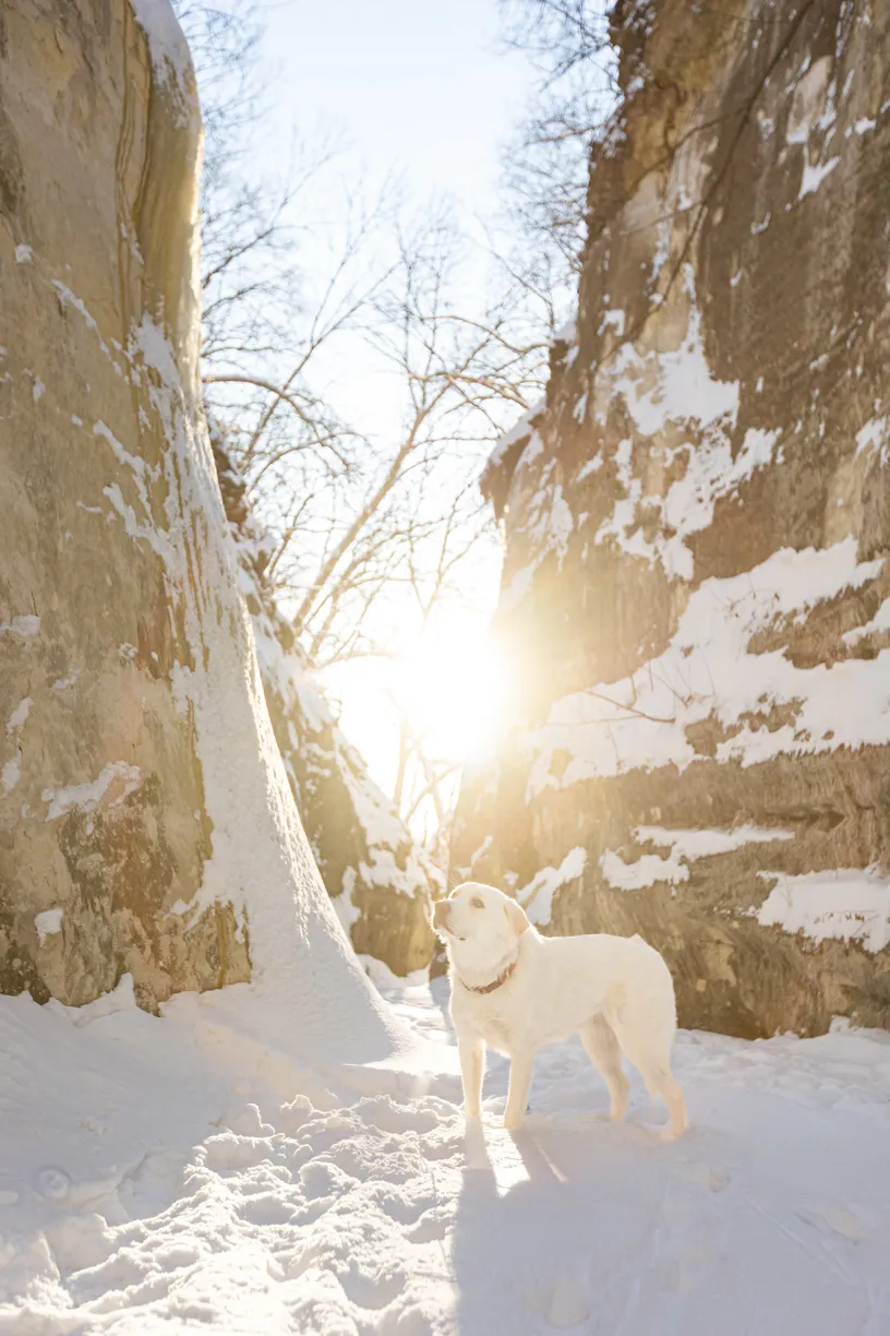 Sunrise Snowstorm session, photo 54 of 58
