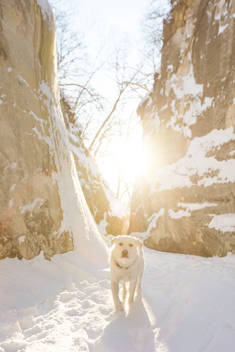Sunrise Snowstorm session, photo 50 of 58