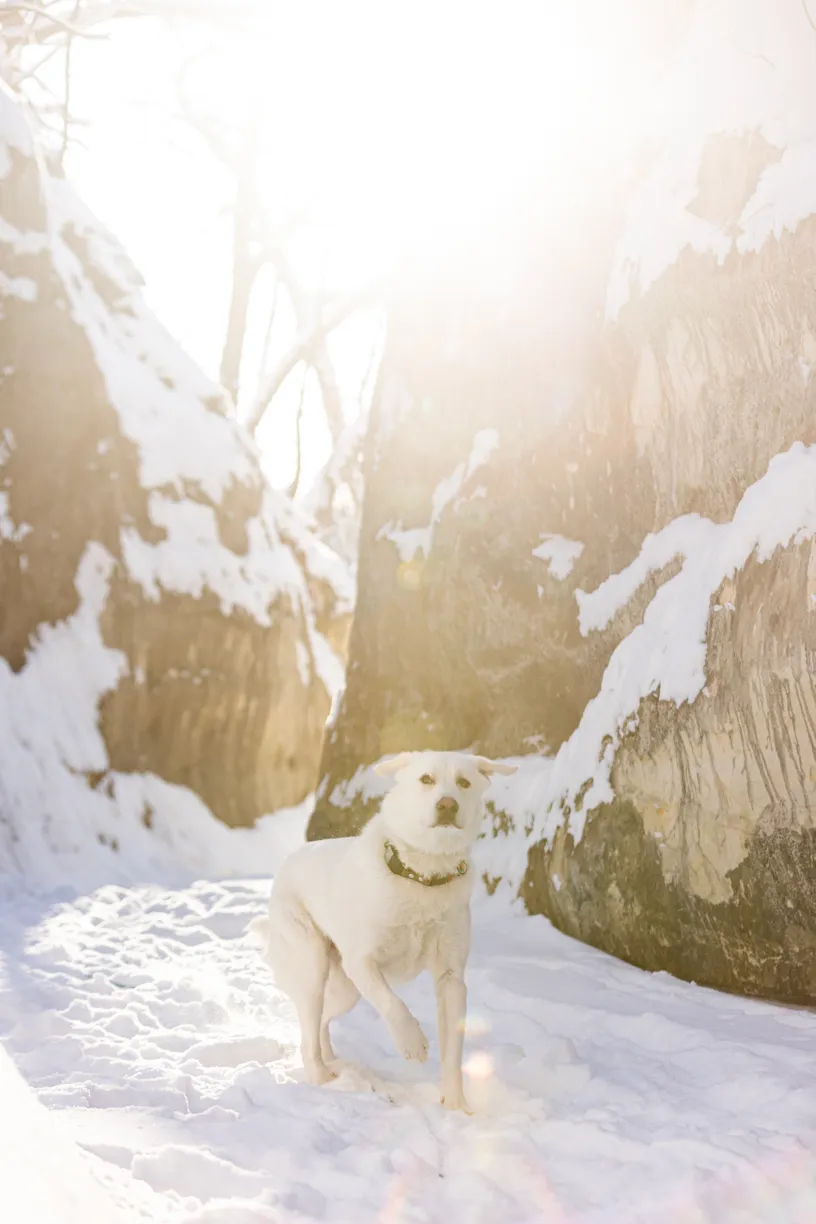Sunrise Snowstorm session, photo 53 of 58