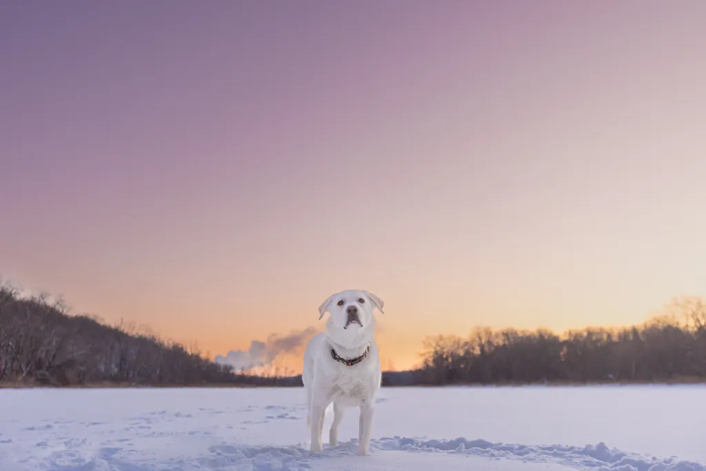 Sunrise Snowstorm session, photo 9 of 58